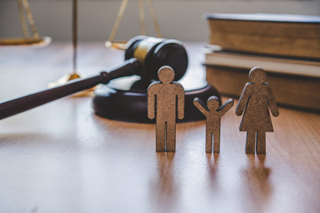 Lawyer Scales Justice - Law Concepts on Human Rights
