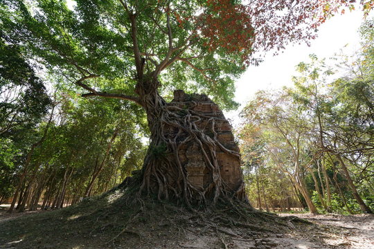 Kampong Thom, Cambodia-January 12, 2019: Prasat Chrey or N18 in Sambor Prei Kuk in Cambodia
