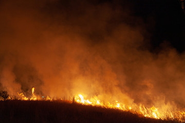 Raging grass wildfire at night. Inspiration for danger, bushfire warning, summer bushfire season...