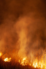 Extreme closeup of raging grass wildfire at night. Inspiration for danger, bushfire warning, posters or memes. Wallpaper or background of intense colour or color