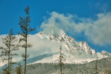 Obrazy na Szkle  Góry w śniegu pokryte modrzewiami w Tatrzańskiej Łomnicy, popularnym miejscu podróży i ośrodku narciarskim na Słowacji