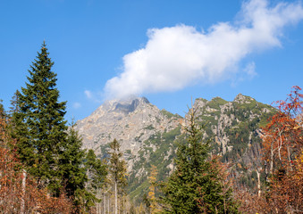 Obraz premium Great Cold Valley in Vysoke Tatry (High Tatras), Slovakia. The Great Cold Valley is 7 km long valley, very attractive for tourists