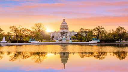 Capitol building in Washington DC - obrazy, fototapety, plakaty