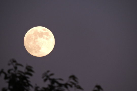 Fototapeta A view of the full moon