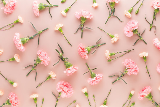 Fototapeta Pink carnation flowers on pastel background. Flat lay, top view, copy space.