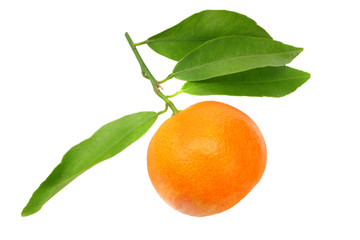one mandarin with green leaf isolated on white background