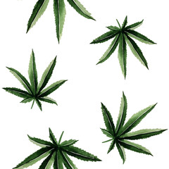 watercolor hemp leaves illustration seamless texture