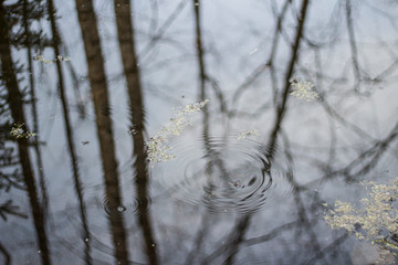Beautiful water background. The source of life is drinking water. Harmony of nature in the liquid.