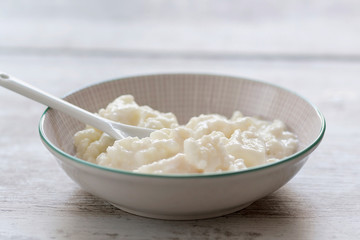 Milk kefir fungus