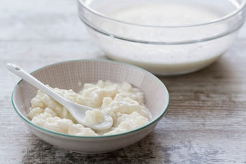 Milk kefir fungus