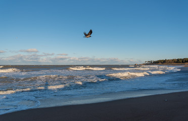 View to the beach of Baltic sea.