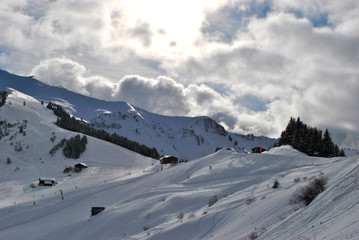 Fototapeta na wymiar Winter forest in the Alps in France