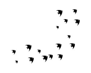 set of abstract fish background template vector