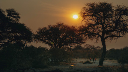 Sonnenuntergang auf dem Savuti Camp, Chobe National Park, Botswana