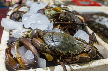 Venetian fish market. The Rialto fish market is located alongside the Grand Canal near the Rialto Bridge - Venice, Italy