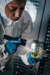 Crime Scene Detective Examining Evidence