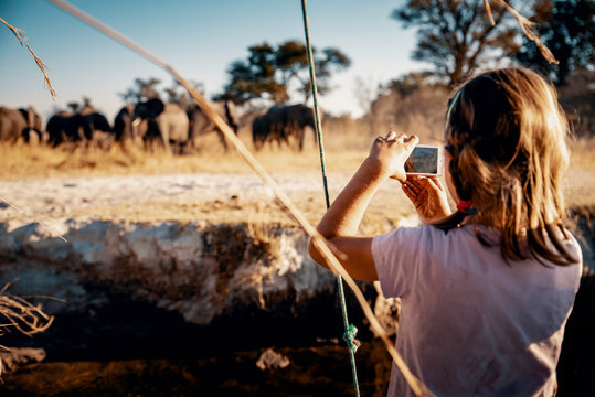 Junges Mädchen fotografiert Gruppe Elefanten am Ufer des Kwando River bei Sonnenuntergang, Caprivi, Namibia