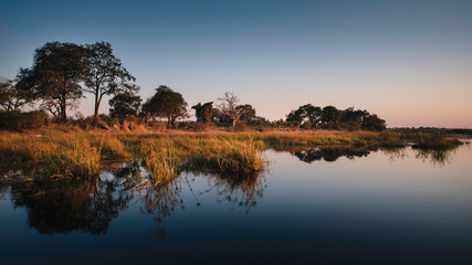 Fototapeta na wymiar Blick vom Wasser auf die Uferlandschaft am Kwando River bei Sonnenaufgang, Cabrivi, Namibia 