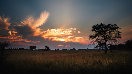Sonnenuntergang im Überschwemmungsgebiet des Kwando River, Caprivi, Namibia