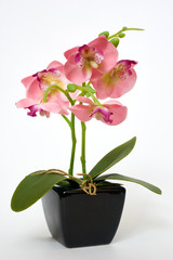 artificial flower — in a pot