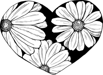 Illustration of daisies painted in a heart. An idea for a tattoo.