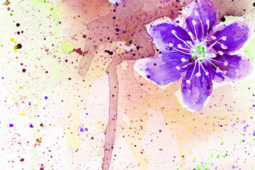 spring bloom. cherry blossom flowers drops splashes watercolor. pollen