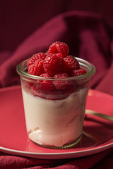 Joghurt mit Himbeeren 