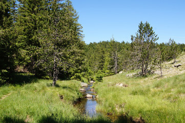 Lacet d'eau dans la verdure montagneuse