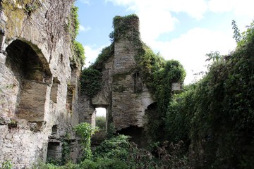 Durrus Court Castle west Cork Ireland