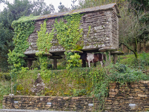 A pony finds shelter from the rain under a dry-stone granary - Logoso, Galicia, Spain