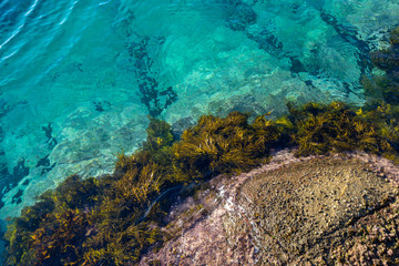 Rocks meeting beautiful clear sea water