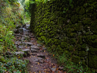 Camino track along a moss covered wall on a rainy day in autumn - Cee, Galicia, Spain