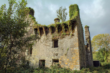 Durrus Court Castle west Cork Ireland