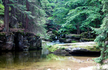 Mountain stream in Europe.