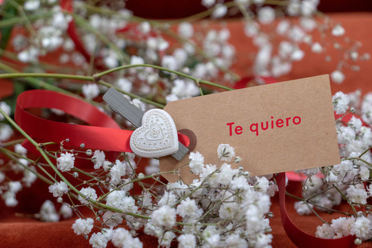 Declaration D Amour Ecrite En Espagnol Te Quiero Sur Une Carte Entourree De Fleurs Stock Photo Adobe Stock Declaration D Amour Ecrite En Espagnol Te Quiero Sur Une Carte Entourree De Fleurs Stock Photo Adobe Stock