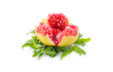 punica granatum isolated on white background