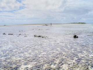 French Polynesia. Tuamotu. Islands near of Tahiti 