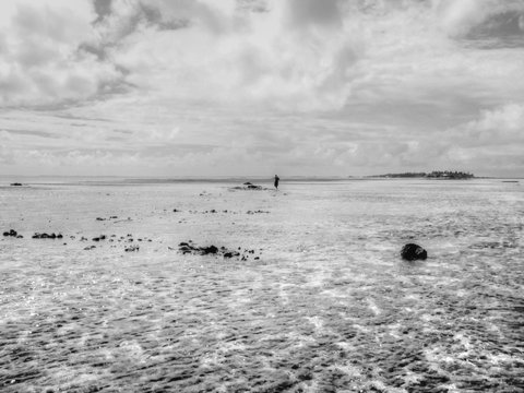 French Polynesia. Tuamotu. Islands near of Tahiti 
