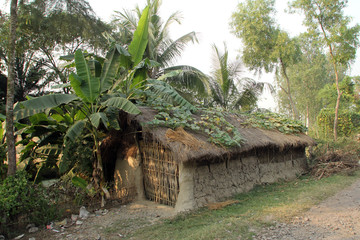 Bengali village Baidyapur, India.