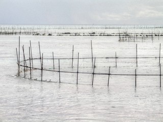 French Polynesia. Tuamotu. Islands near of Tahiti 
