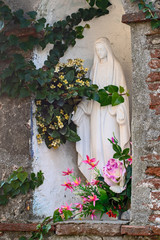 Nature reaching out to the Madonna, statue in Montemarcello village, Liguria, Italy.