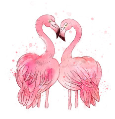 Two flamingos in love, watercolor, valentine's day