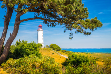 Lighthouse Dornbusch on the island Hiddensee, Rügen, Ostsee, Germany