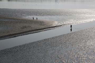 Mud beds on the river Malta during low tide the water in the Canning Town, India 