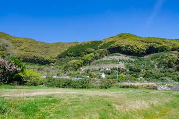 由良町 雨司山（興国寺裏）
