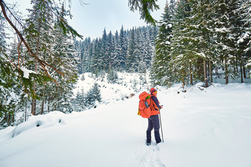 snow covered hiking trail in winter forest