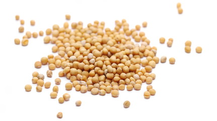 Yellow mustard seeds isolated on white background