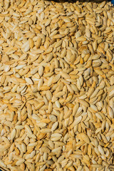 pumpkin seeds. background.