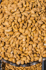  almond nut. in shell almonds