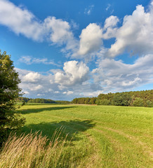 Sommerlandschaft